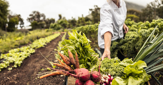 Vegetables The Key to Reducing Stress