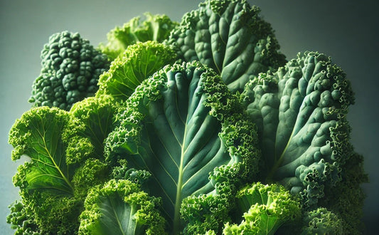 The Power of Kale: Exploring the Health Benefits of This Nutrient-Dense Superfood