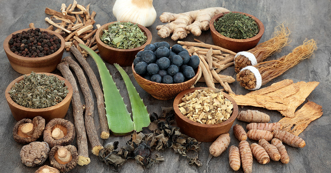 The Role of Adaptogens in Promoting General Health