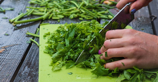 Why you should eat more greens