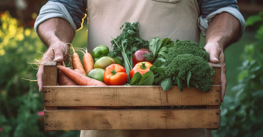 Veggies Power Up Your Energy Levels!